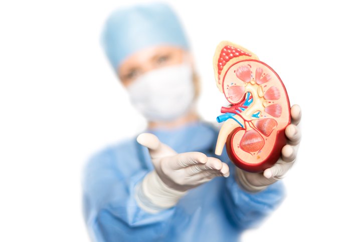 metastatic renal cell carcinoma treatment, renal cell carcinoma diagnosis, metastatic renal cell carcinoma, metastatic renal cell carcinoma treatments, What is Renal Cell Carcinoma Cancer?, metastatic renal carcinoma treatments, metastatic renal cell carcinoma diagnosis, renal cell carcinoma treatment, renal cell carcinoma, alternative kidney cancer treatment, advanced kidney cancer treatments, kidney cancer survival rates, treatment advanced kidney cancer, metastatic kidney cancer treatments, treatment for metastatic kidney cancer